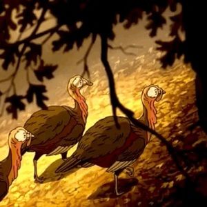 Meet your Posher, Tom